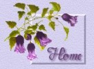 Indycats home